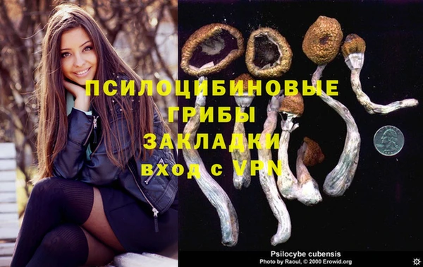 гидра Абдулино