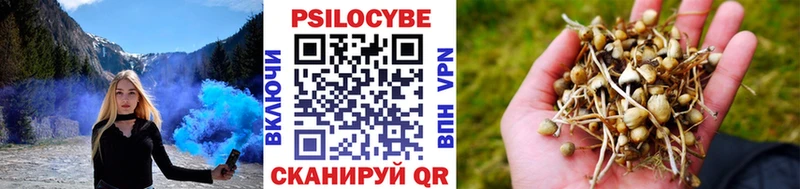 Псилоцибиновые грибы Cubensis  где купить наркоту  Новое Девяткино 